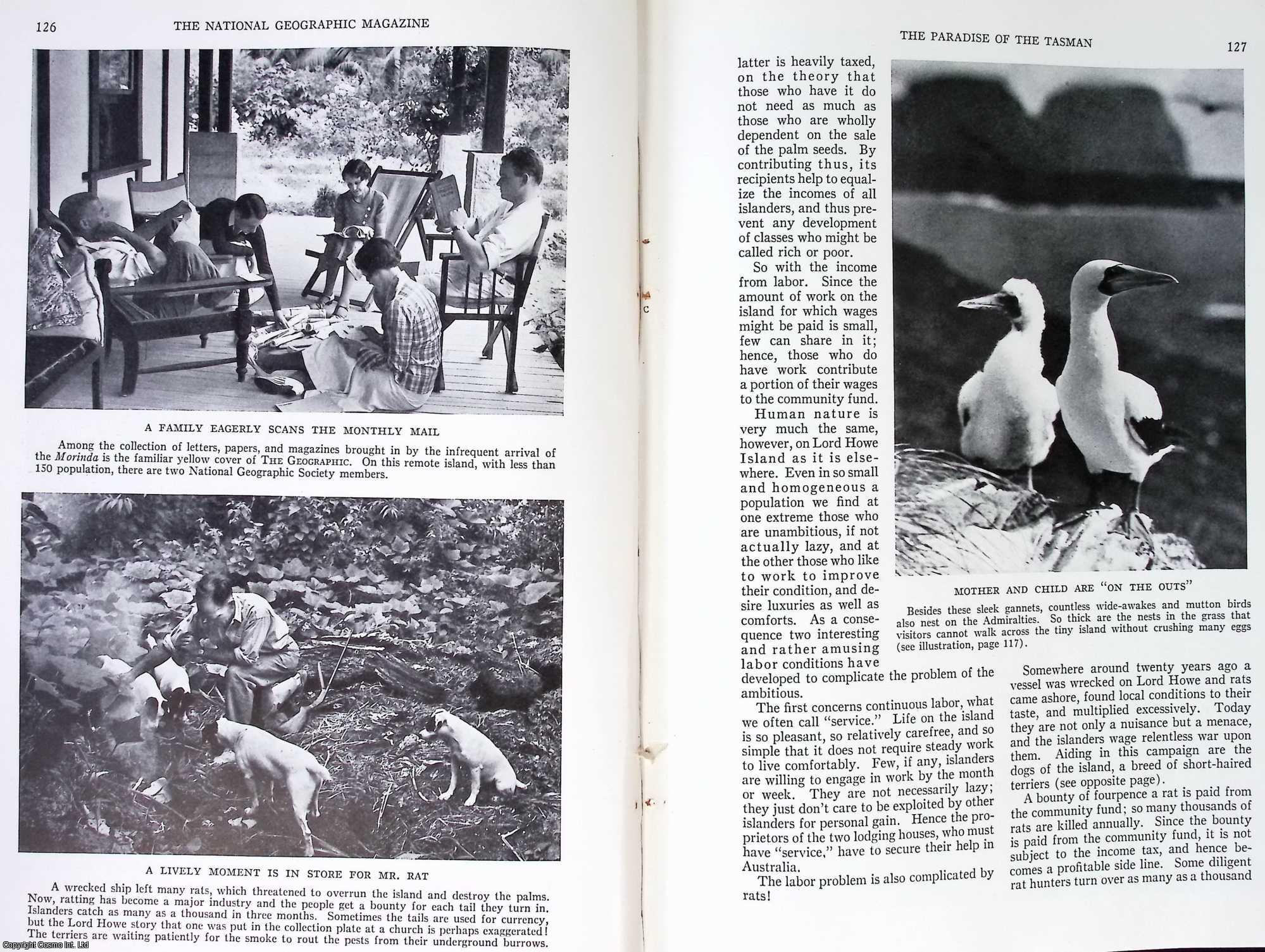 CLARK, HUBERT LYMAN - The Paradise of The Tasman: A Pacific Island Provides The Palms which Decorate Hotels, Churches, Steamships, and Homes. An original article from the National Geographic Magazine, 1935.