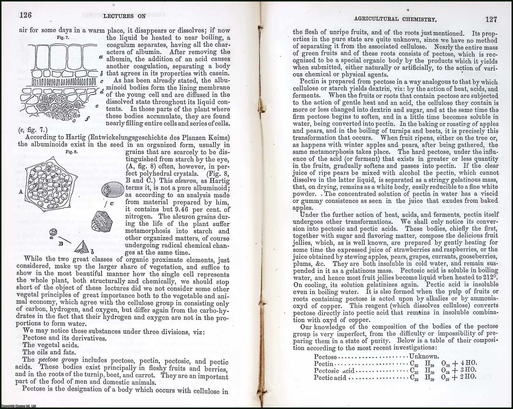 JOHNSON, PROFESSOR SAMUEL W. - Agricultural Chemistry. An original article from the Report of the Smithsonian Institution, 1859.