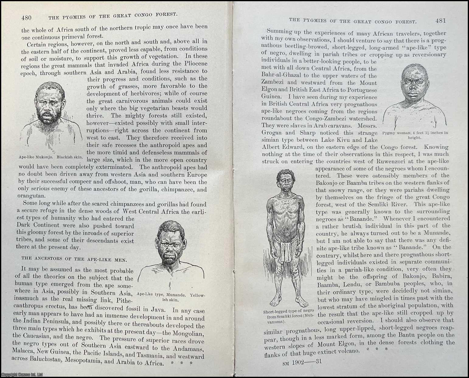 JOHNSTON, SIR HARRY H. - The Pygmies of The Great Congo Forest. An original article from the Report of the Smithsonian Institution, 1902.
