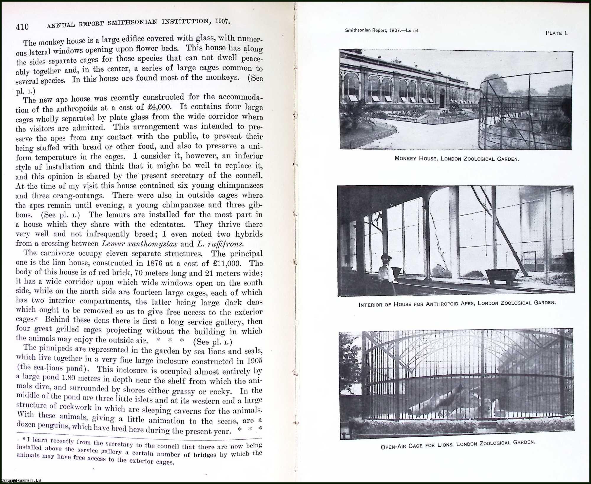 LOISEL, GUSTAVE - The Zoological Gardens, and Establishments of Great Britain, Belgium, and The Netherlands. An original article from the Report of the Smithsonian Institution, 1907.
