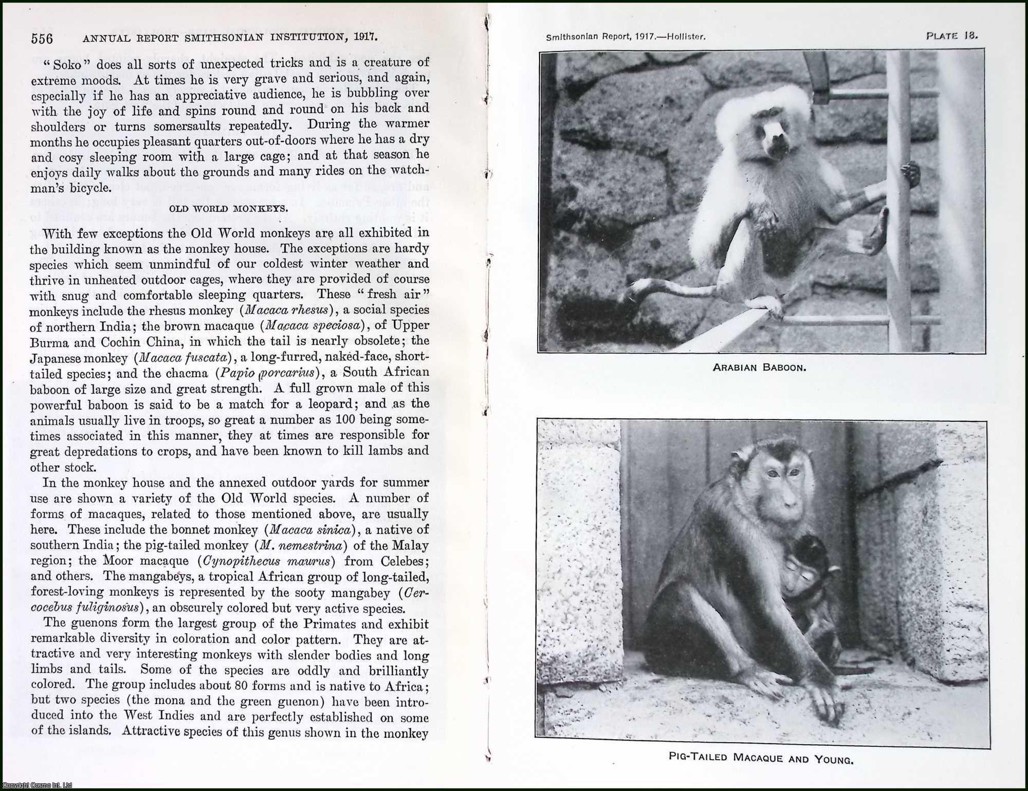 HOLLISTER, N. - The National Zoological Park: A Popular Account of its Collections. An original article from the Report of the Smithsonian Institution, 1917.