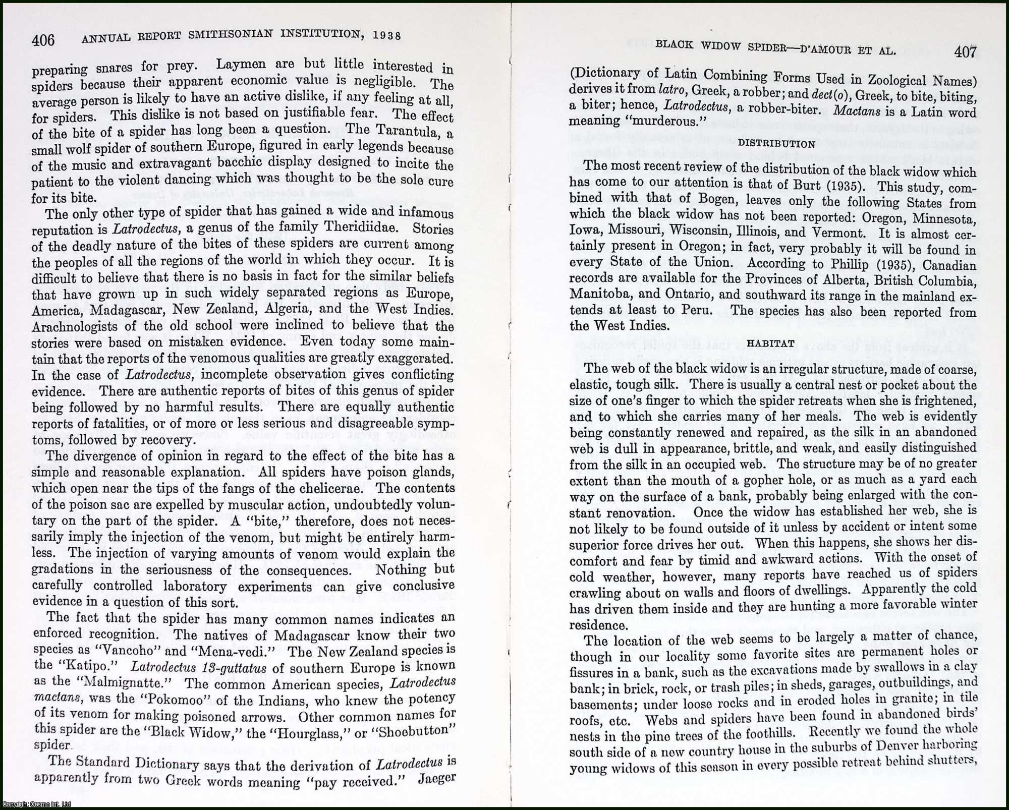 D'AMOUR & OTHERS, FRED E. - The Black Widow Spider. An original article from the Report of the Smithsonian Institution, 1938.
