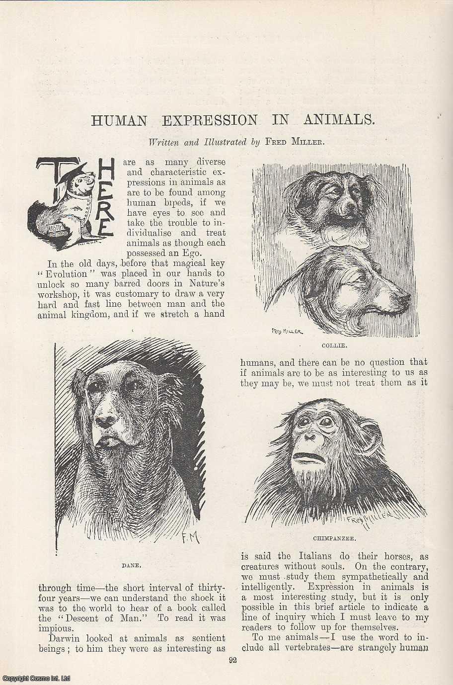 MILLER, FRED - Human Expression in Animals. Illustrated by Fred Miller. An original article from the Windsor Magazine, 1895.