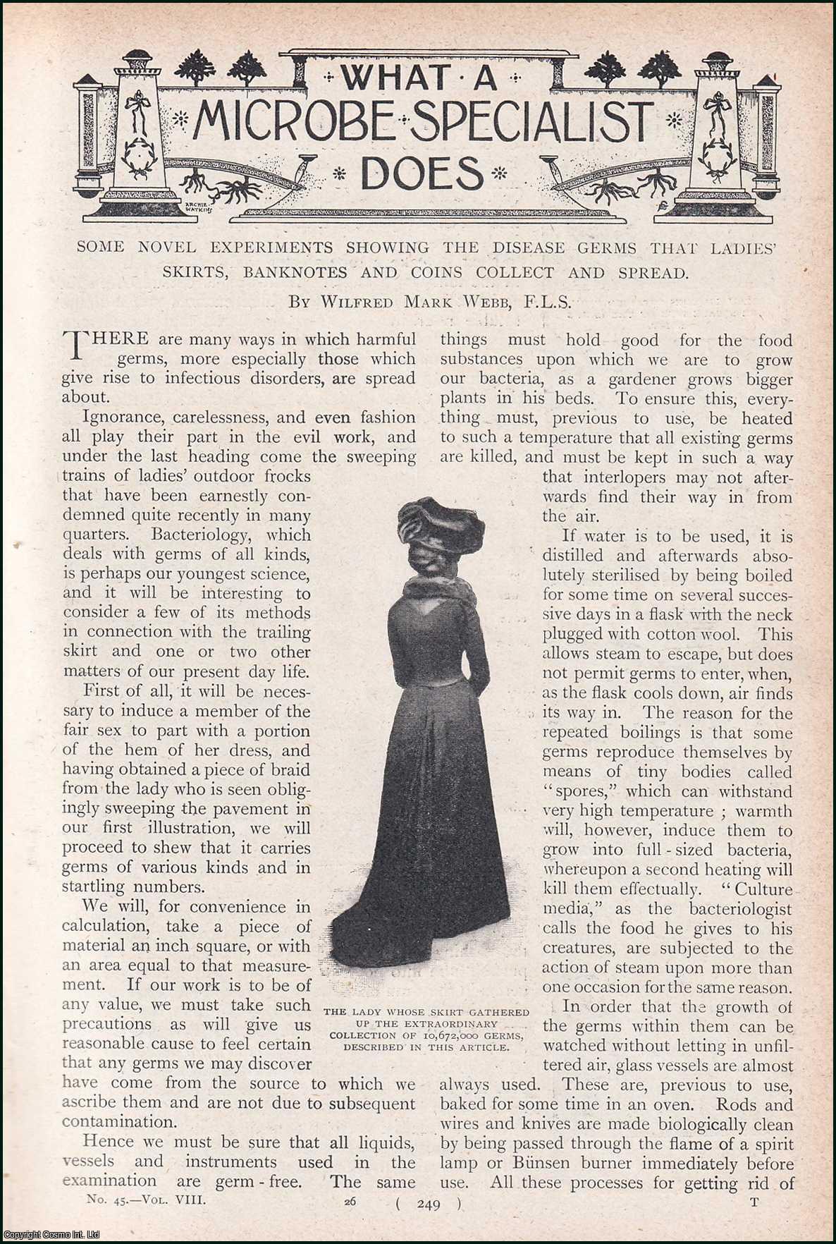 WEBB, WILFRED MARK - What a Microbe Specialist Does. Some Novel Experiments Showing The Disease Germs That Ladies Skirts, Banknotes and Coins Collect and Spread. A rare original article from the Harmsworth London Magazine, 1902.