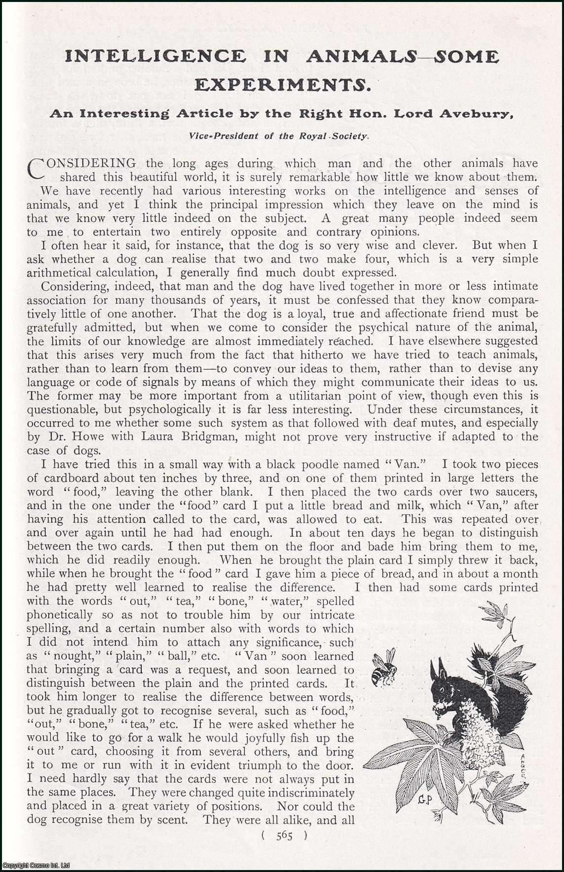 --- - Intelligence in Animals-Some Experiments. An Interesting Article by The Right Hon. Lord Avebury. A rare original article from the Harmsworth London Magazine, 1902.