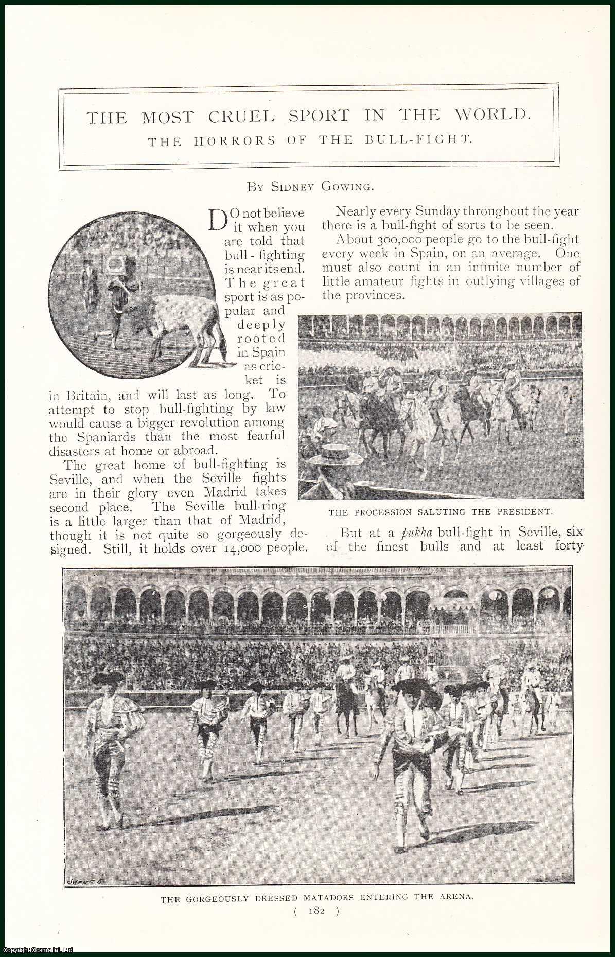 GOWING, SIDNEY - The Most Cruel Sport In The World. The Horrors Of The Bull-Fight. A rare original article from the Harmsworth London Magazine, 1898-99.