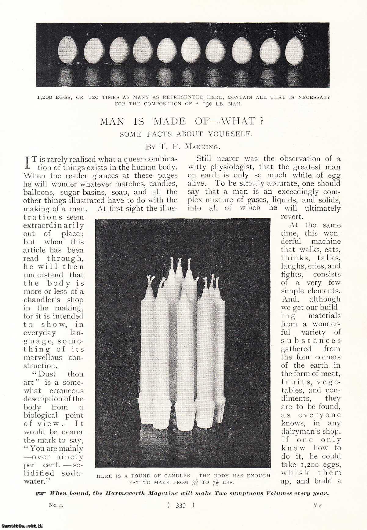 T.F. Manning - Man, The Human Body Is Made Of What? Some Facts About Yourself. An uncommon original article from the Harmsworth London Magazine, 1898.