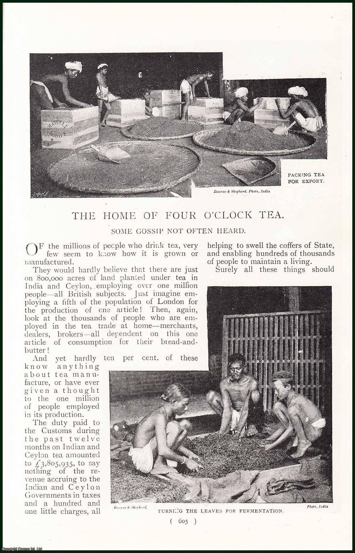 ---, --- - The Home Of Four O'Clock Tea. Some Gossip Not Often Heard. A rare original article from the Harmsworth London Magazine, 1898-99.