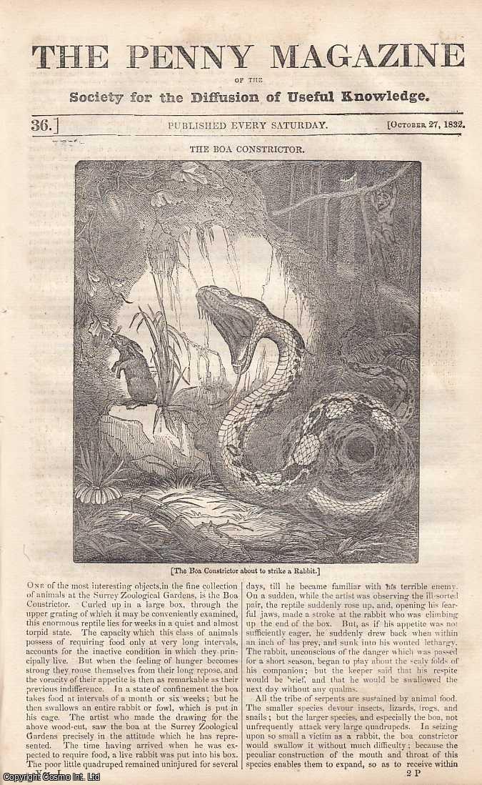 --- - The Boa Constrictor; Comets. - No. 2; Temples of Paestum; Difference Between Gambling and Trading; Saturday Night's Wages, etc. Issue No. 36, October 27th, 1832. A complete rare weekly issue of the Penny Magazine, 1832.