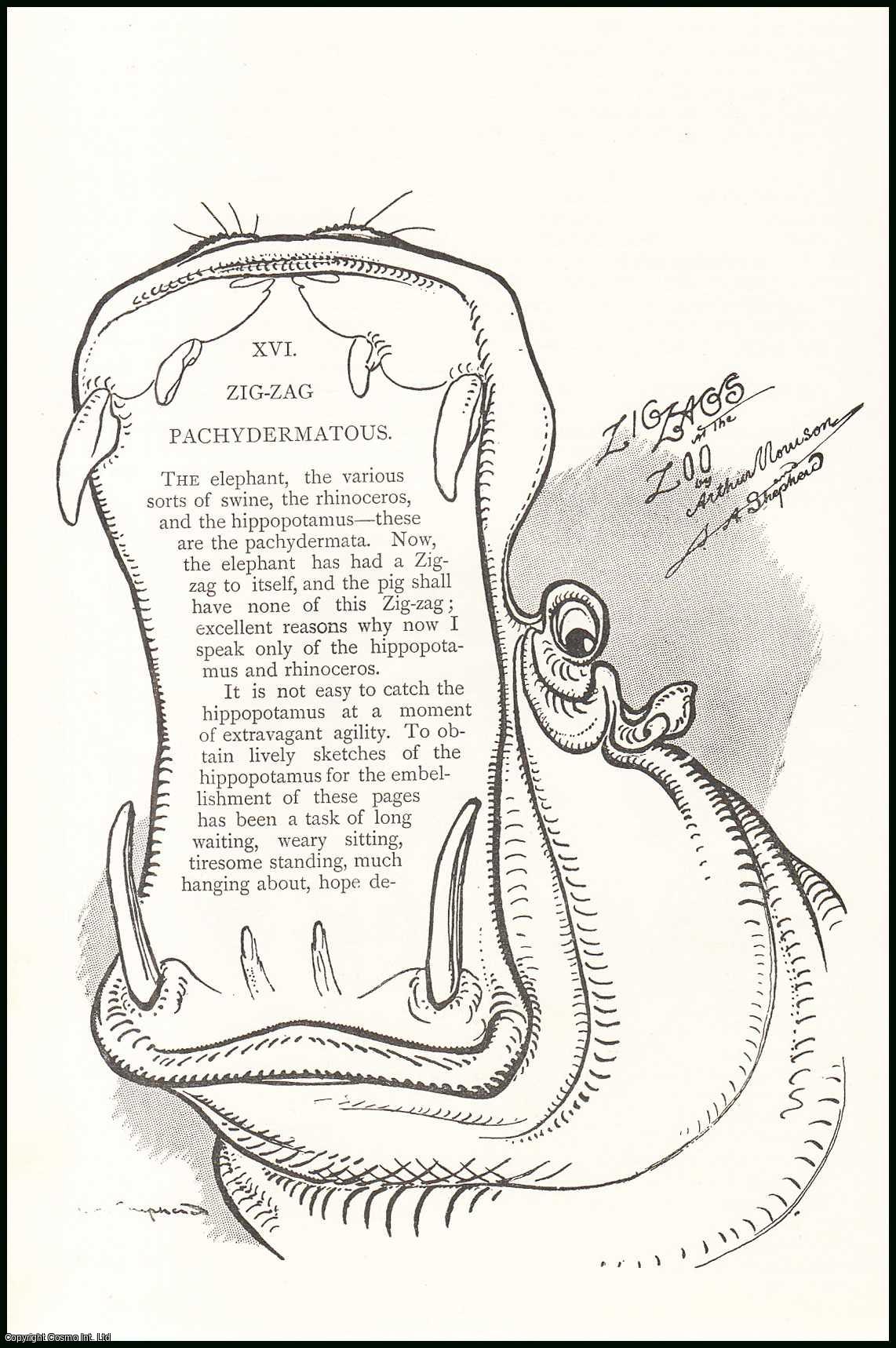 Arthur Morrison - Rhinoceros & Hippopotamus : Zig-Zag Pachydermatous. Zig-Zags at The Zoo An uncommon original article from The Strand Magazine, 1893.