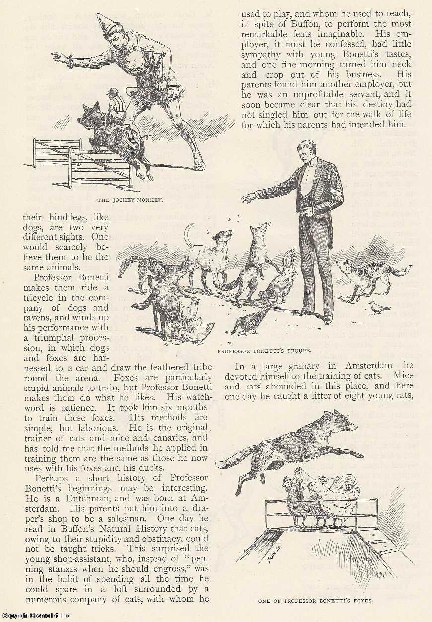 BRAYLEY-HODGETTS, E. A. - The Training of Performing Animals. An original article from The Strand Magazine, 1894.