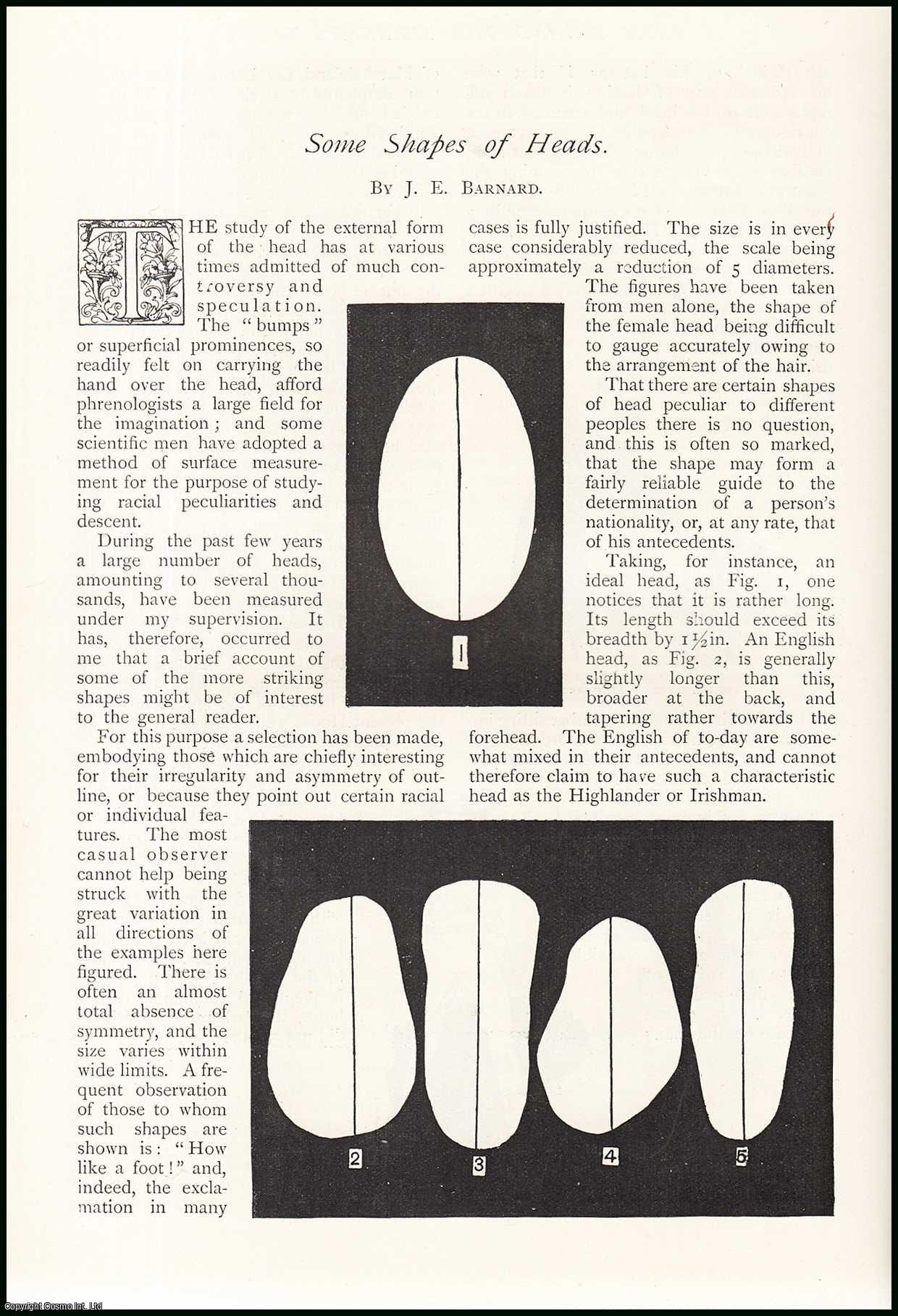 J.E. Barnard - Some Shapes of Heads : the study of the external form of the head. An uncommon original article from The Strand Magazine, 1895.