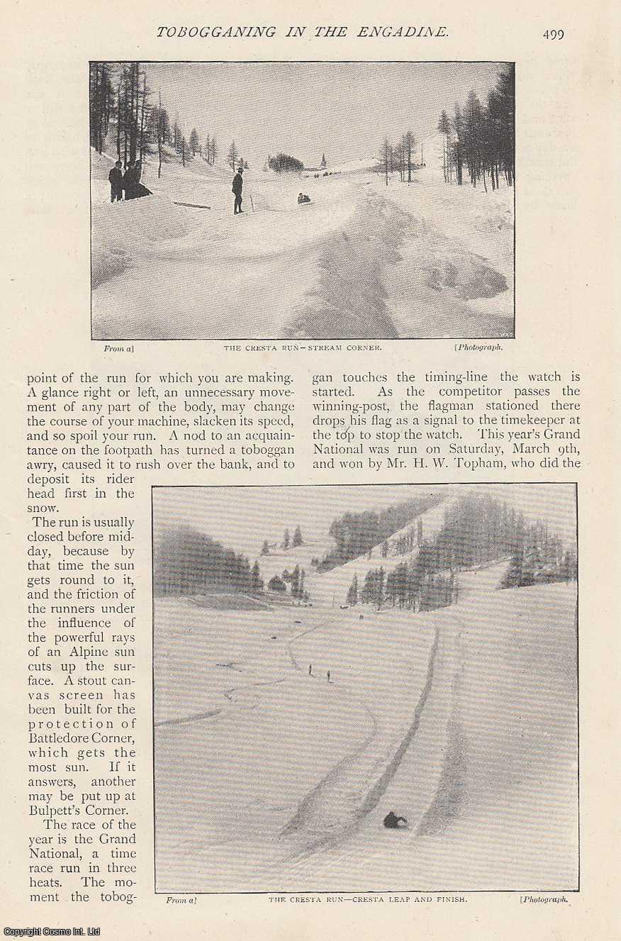 Celia Lovejoy - Tobogganing in The Engadine. An uncommon original article from The Strand Magazine, 1895.