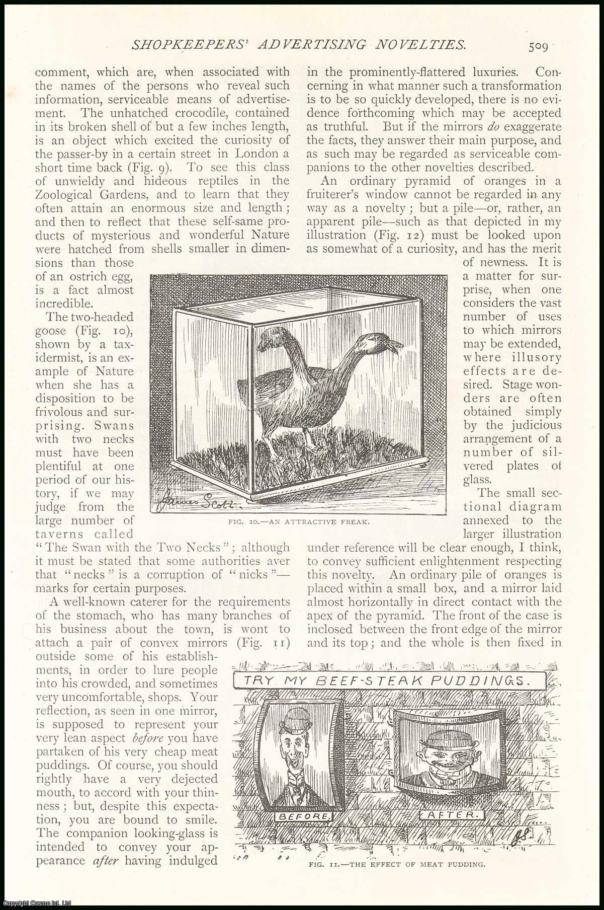 --- - The Lion and The Hare. Fables. An original article from The Strand Magazine, 1895.