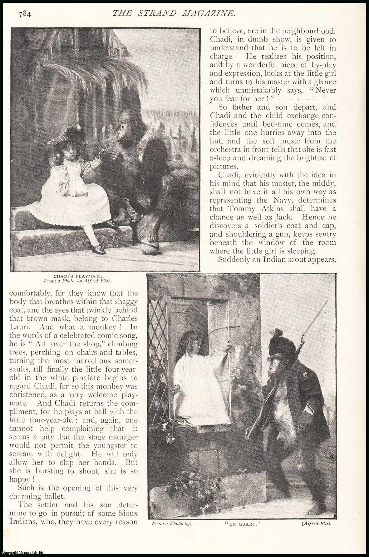 HOW, HARRY - An Animal Actor: An Interview with Mr. Charles Lauri. An original article from The Strand Magazine, 1895.