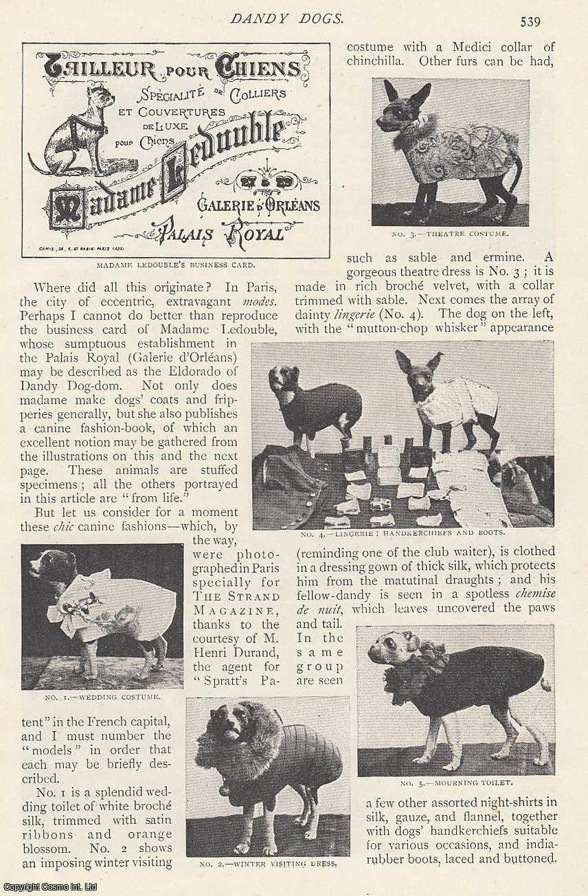 W.G. Fitzgerald - Dandy Dogs. Costumes for Dogs. An uncommon original article from The Strand Magazine, 1896.
