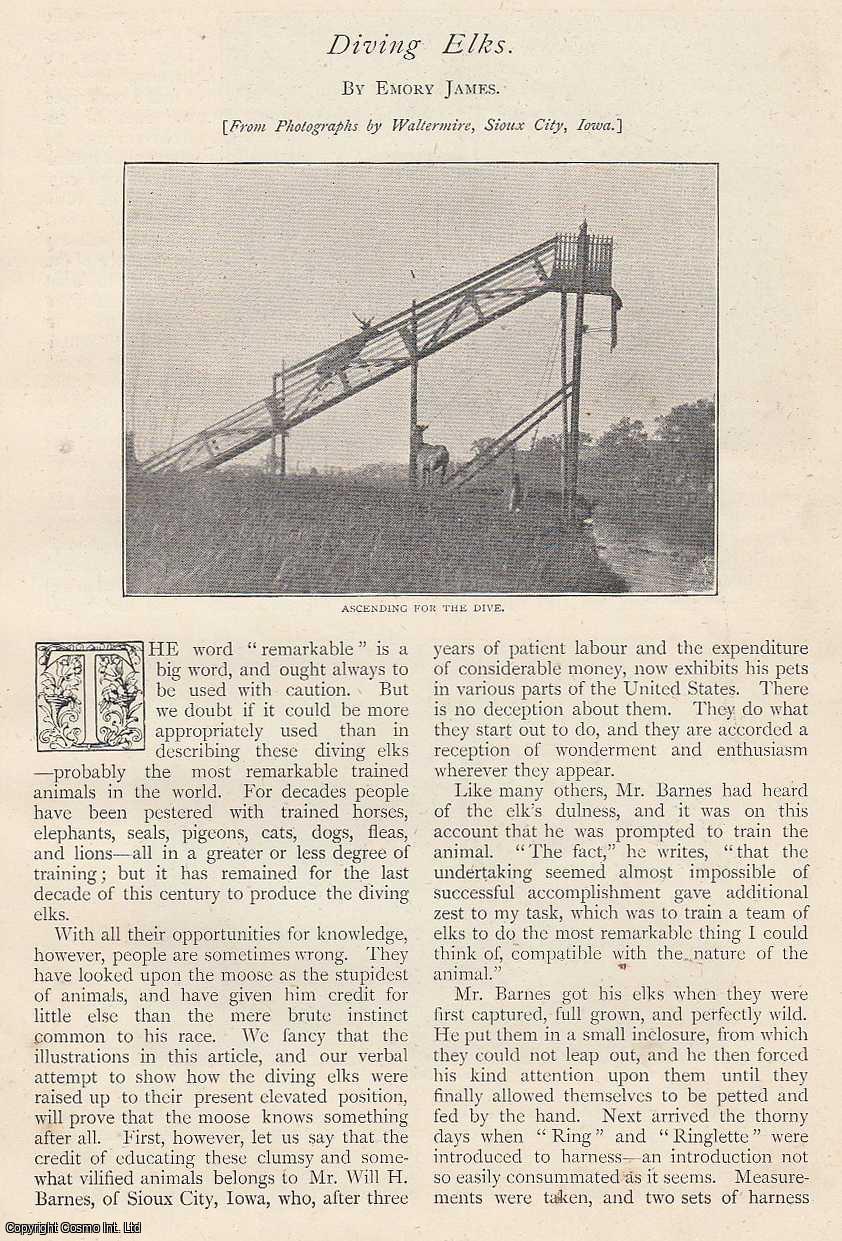 JAMES, EMORY - Diving Elks. A rare original article from The Strand Magazine, 1898.