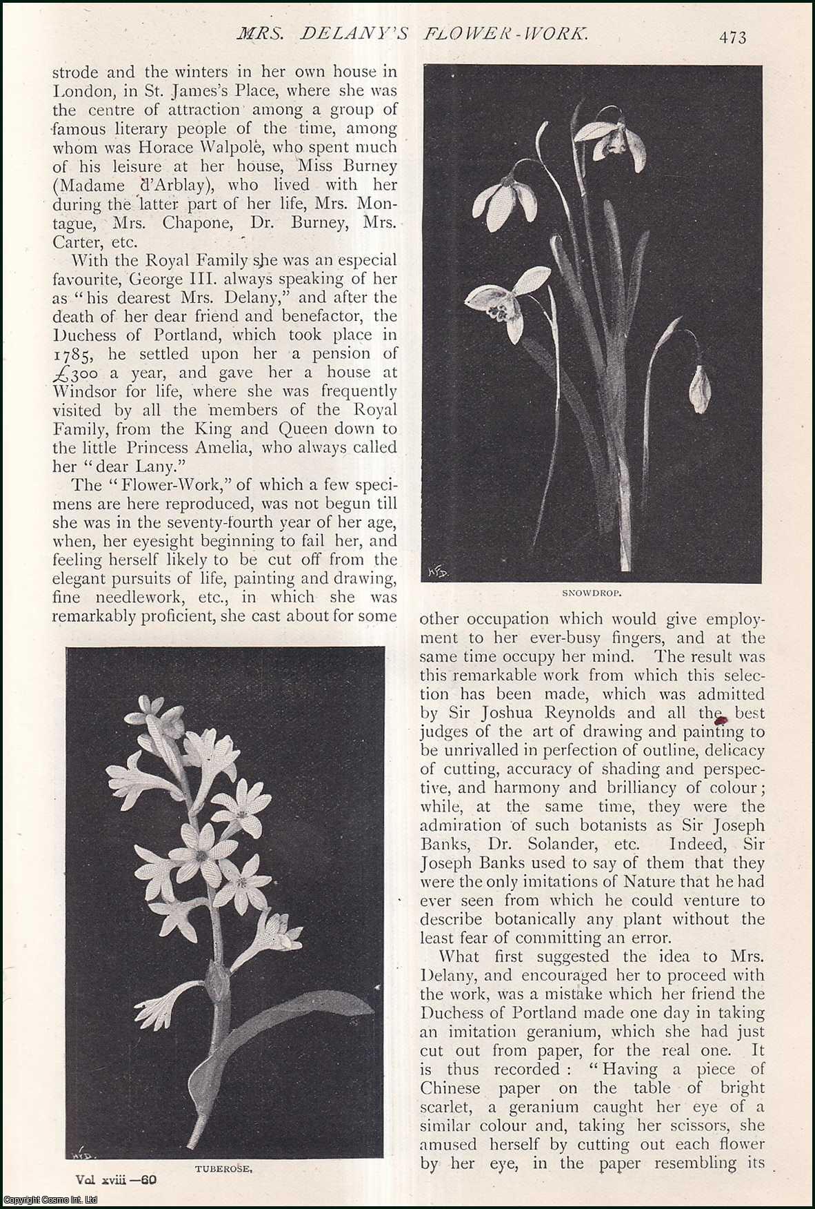 --- - Mrs Delany's Flower-Work. A rare original article from The Strand Magazine, 1899.