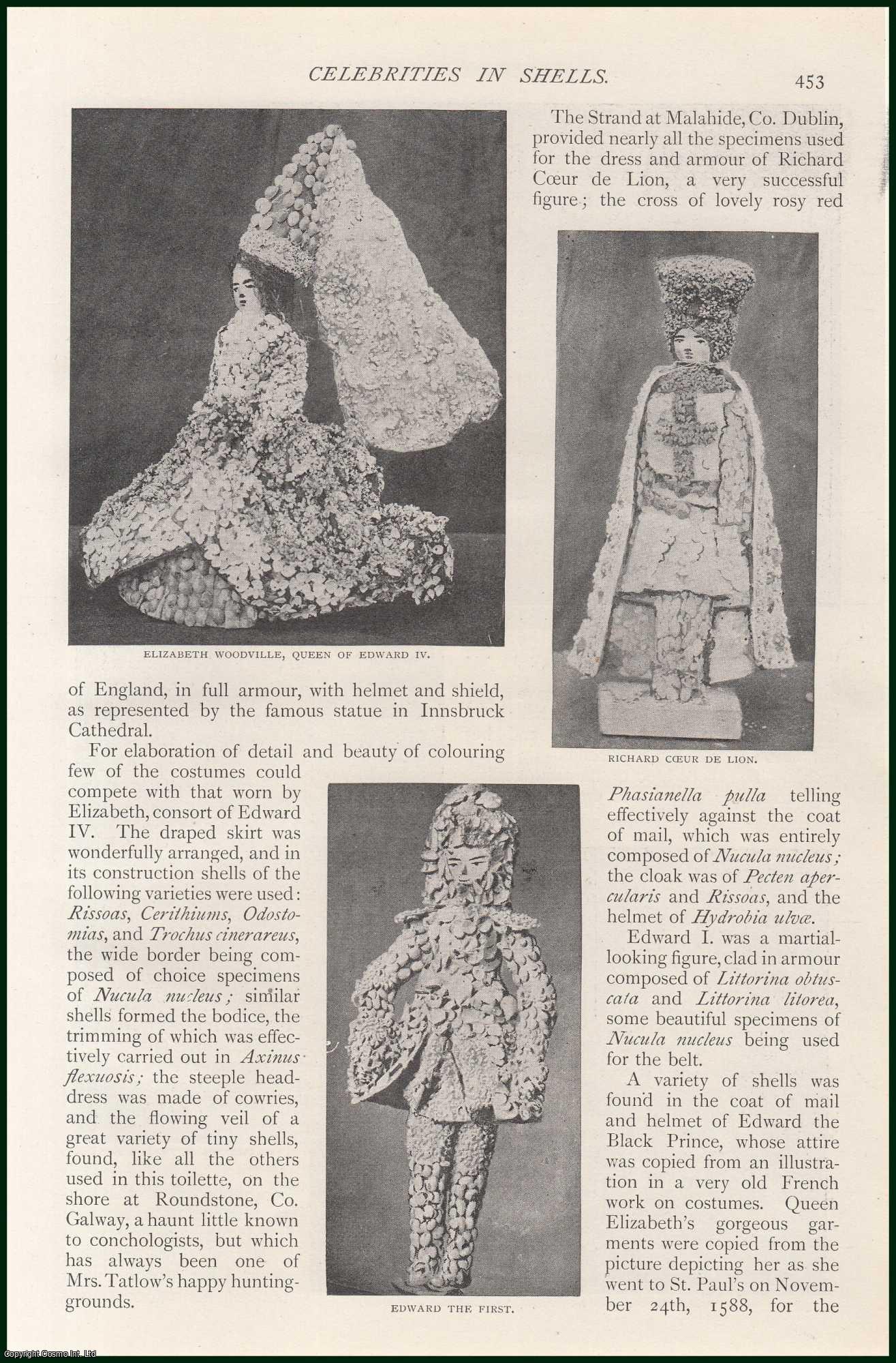 MAGUIRE, A. B. - Celebrities in Shells. A rare original article from The Strand Magazine, 1900.