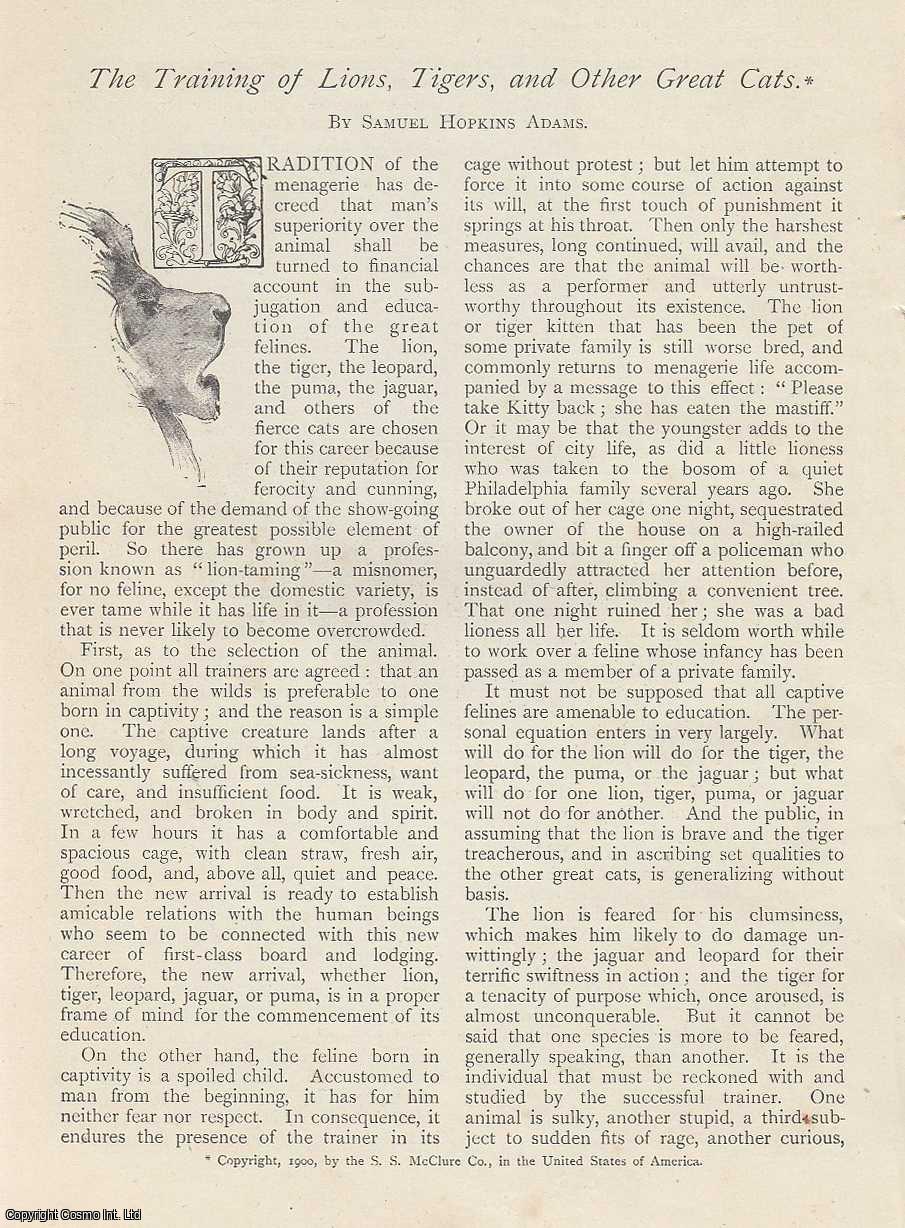 Samuel Hopkins Adams - The Training of Lions, Tigers, and Other Great Cats. An uncommon original article from The Strand Magazine, 1900.