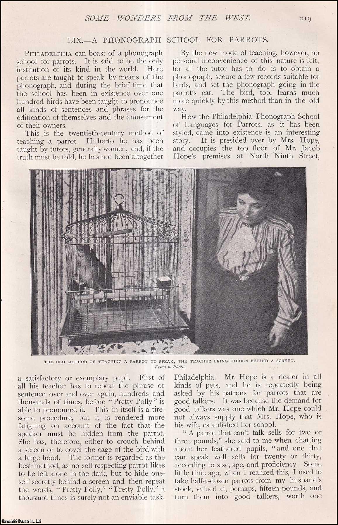 Unstated - A Phonograph School for Parrots, Philadelphia. An uncommon original article from The Strand Magazine, 1903.