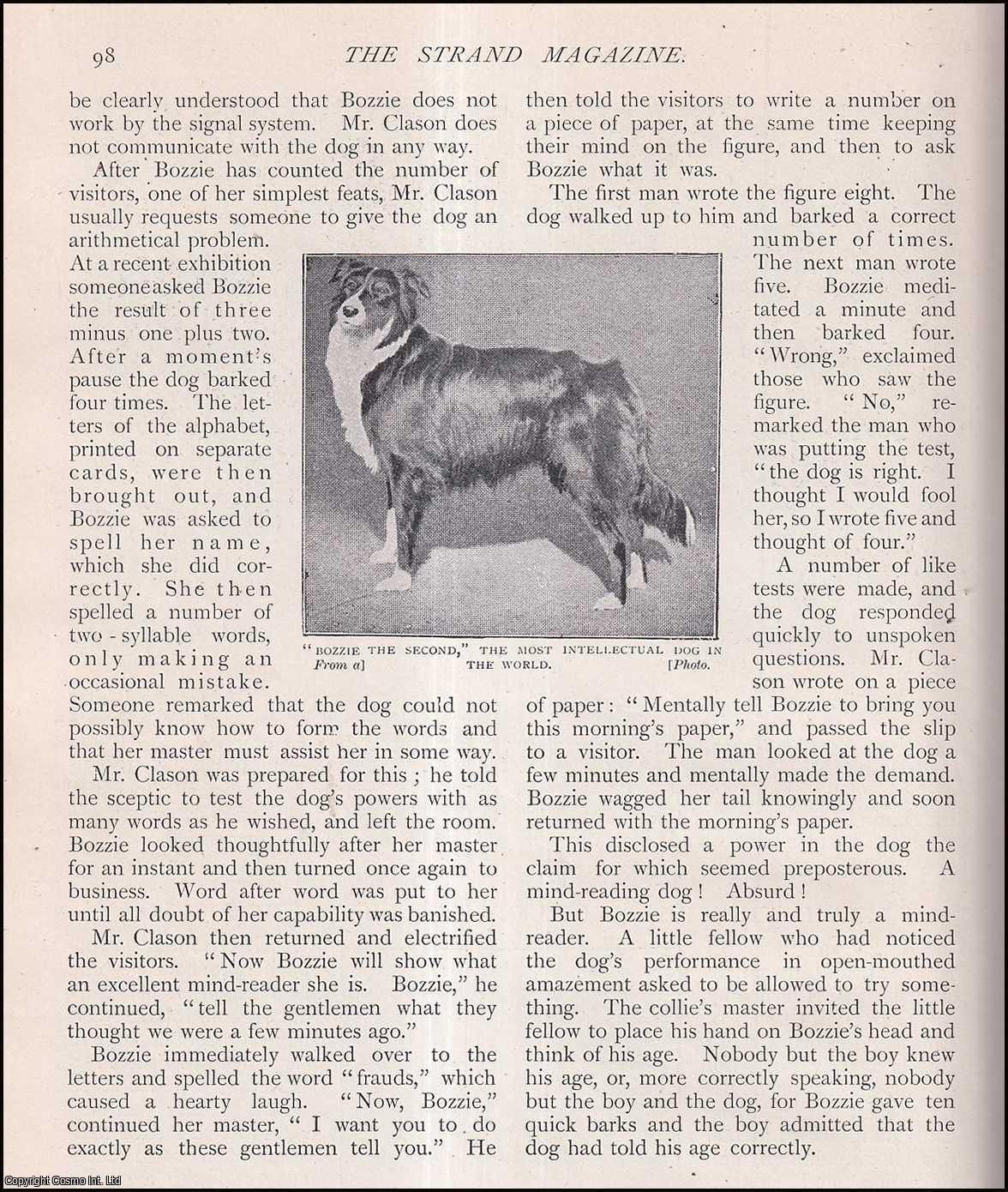 --- - The Most Intellectual Dog In The World. Wonders of The Worlds. A rare original article from The Strand Magazine, 1904.
