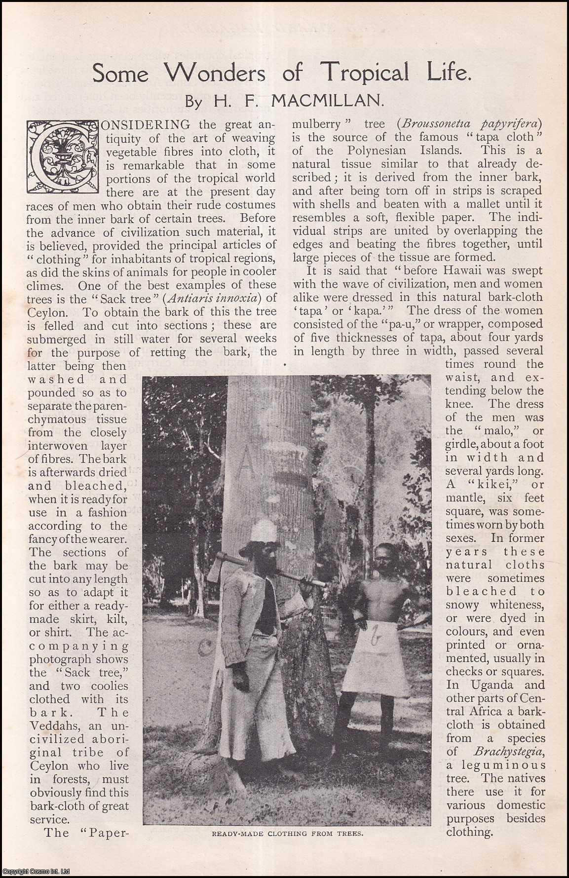 MACMILLAN, H. F. - Some Wonders of Tropical Life. A rare original article from The Strand Magazine, 1909.