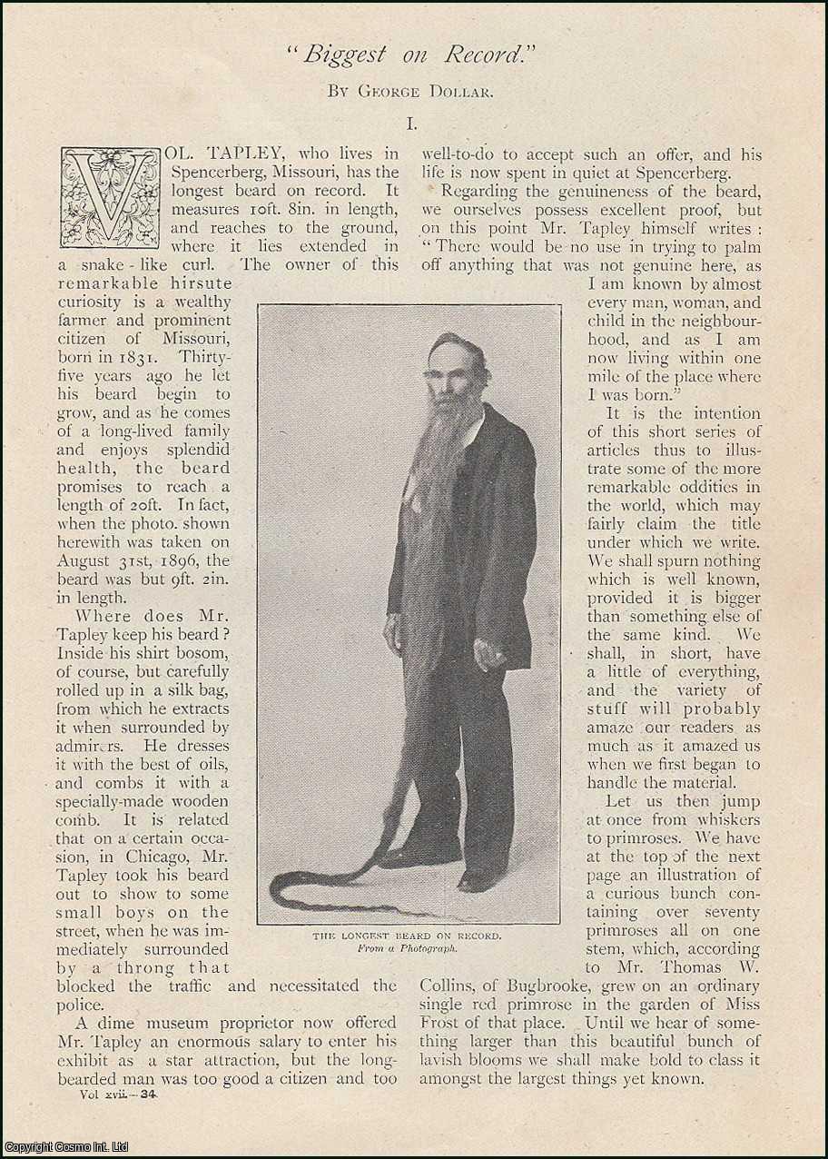 George Dollar - Biggest on Record. Mr. Vol. Tapley, of Spencerberg, Missouri who has the longest beard on record ; the tallest thistle ; the biggest shoe ; the largest boy & more. An uncommon original article from The Strand Magazine, 1899.