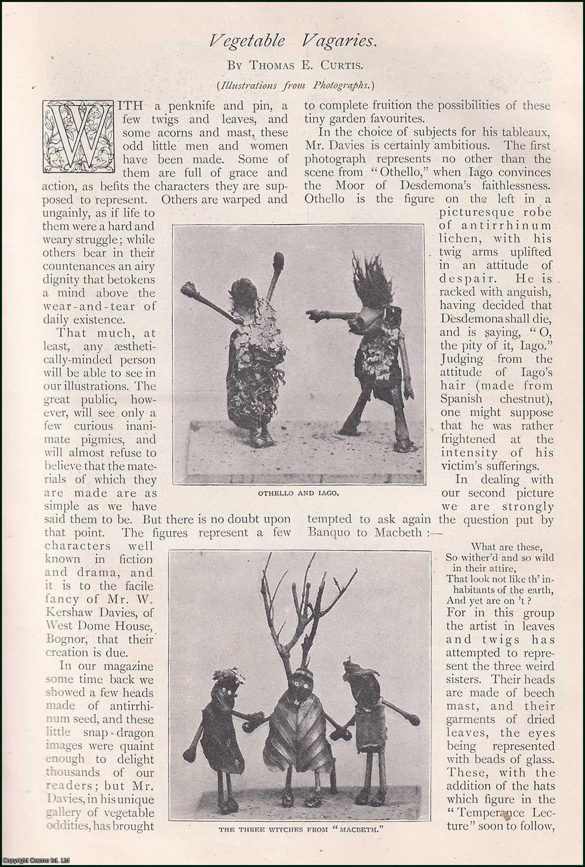 Thomas E. Curtis - Vegetable Vagaries : Robinson Crusoe & his man Friday ; Eskimo woman ; Othello & Iago & more. Oddities made out of vegetables. An uncommon original article from The Strand Magazine, 1899.