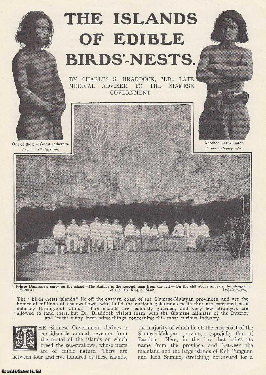 Charles S. Braddock, M.D., Late Medical Adviser to the Siamese Government., Charles S. - The Islands of Edible Birds-Nests : Thailand-Malayan sea swallows. An uncommon original article from the Wide World Magazine, 1912.