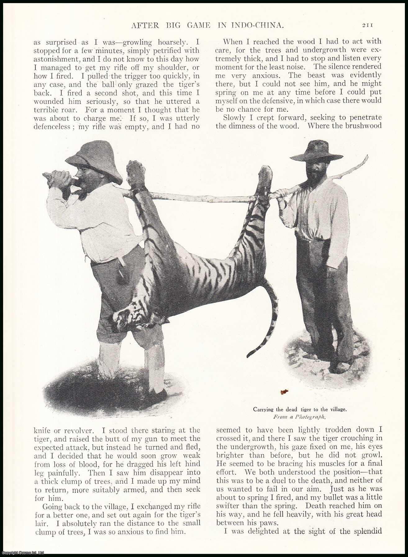H.R.H. The Duke of Montpensier. - After Big Game In Indo-China : the Duke of Montpensier describes & illustrates a sporting expedition which he undertook in the little-known jungles of Indo-China. An uncommon original article from the Wide World Magazine, 1913.