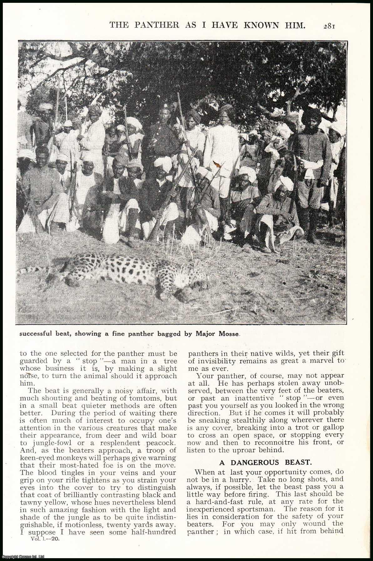 MOSSE, A. H. E. - The Panther As I Have Known Him. An original article from the Wide World Magazine, 1923.