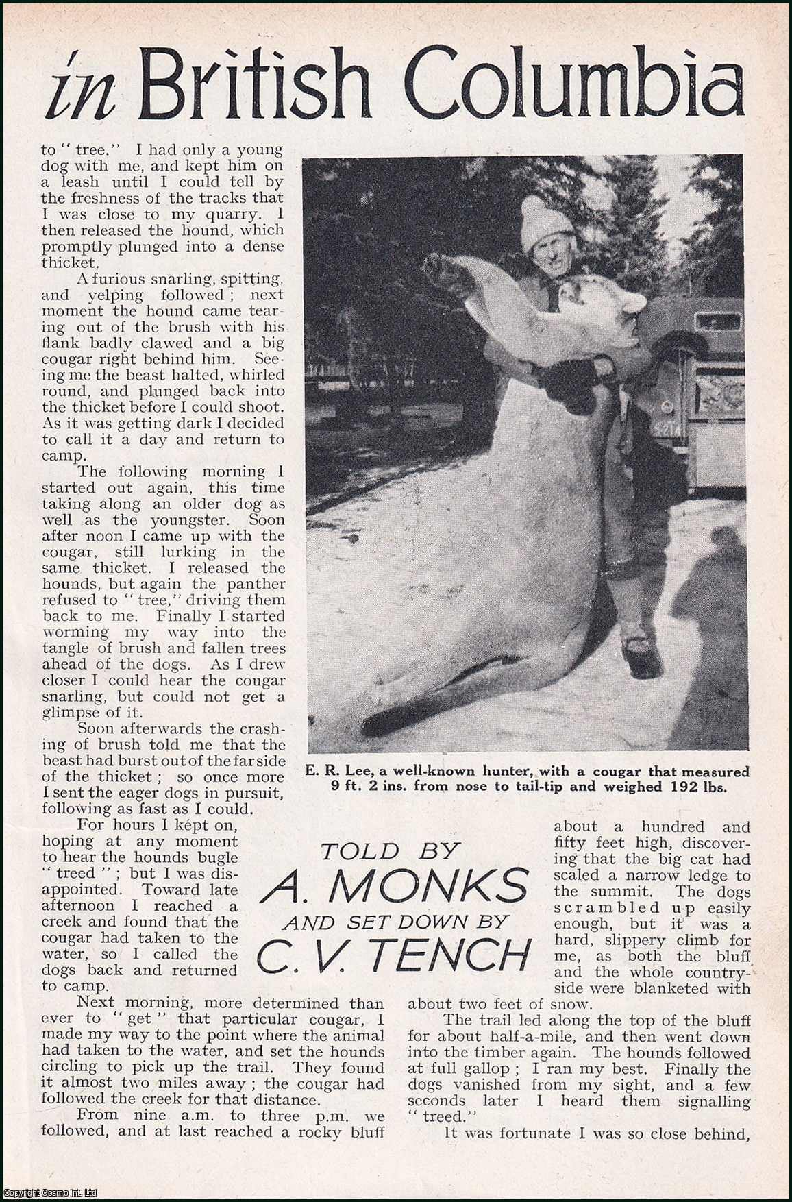 MONKS & C. V. TENCH, A. - Cougar Hunting in British Columbia. An original article from the Wide World Magazine, 1938.