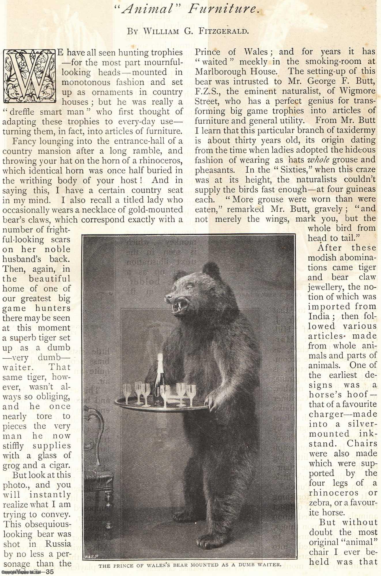 William G. Fitzgerald - Animal Furniture. Made from hunting trophies. An uncommon original article from The Strand Magazine, 1896.