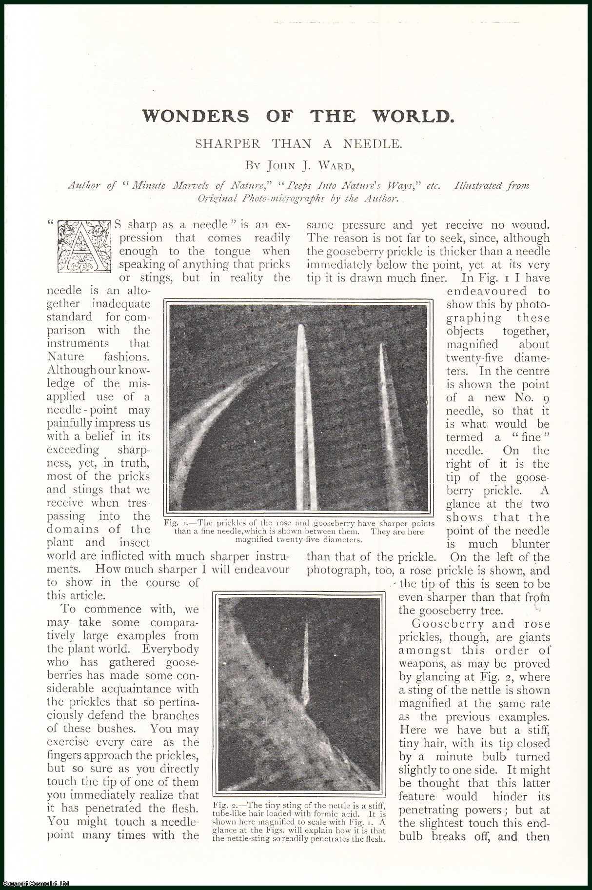 --- - Sharper Than a Needle. Wonders of The World. A rare original article from The Strand Magazine, 1907.
