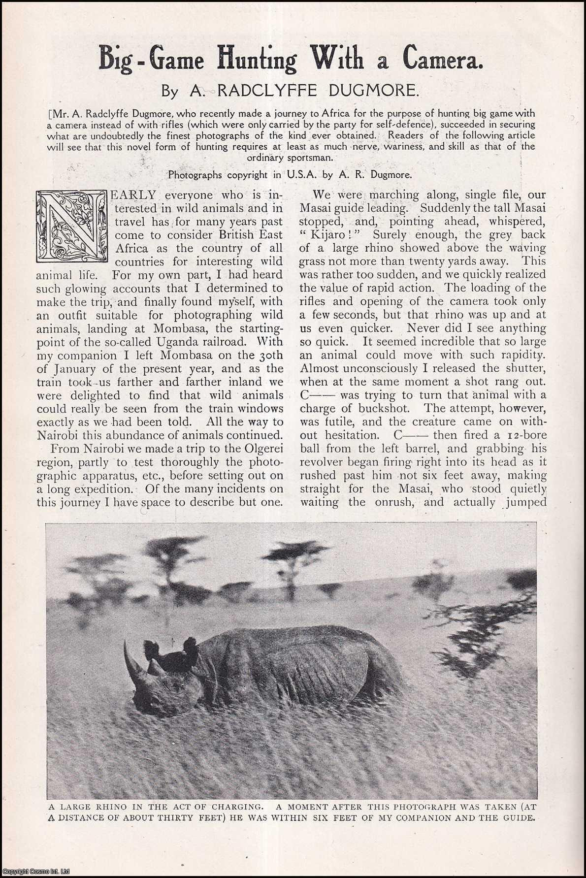 A. Radclyffe Dugmore - Big-Game Hunting in Africa with a Camera. An uncommon original article from The Strand Magazine, 1909.