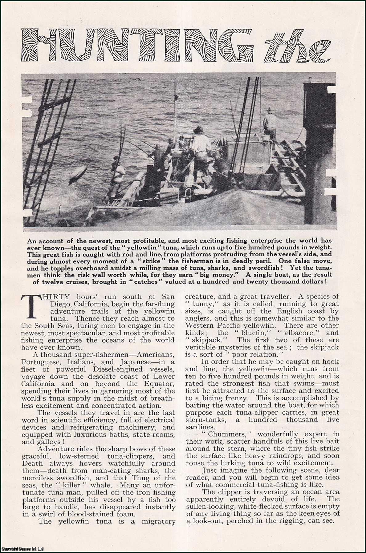 Arthur W. Ponsford - Hunting the Yellowfin Tuna, San Diego, California. An uncommon original article from the Wide World Magazine, 1932.