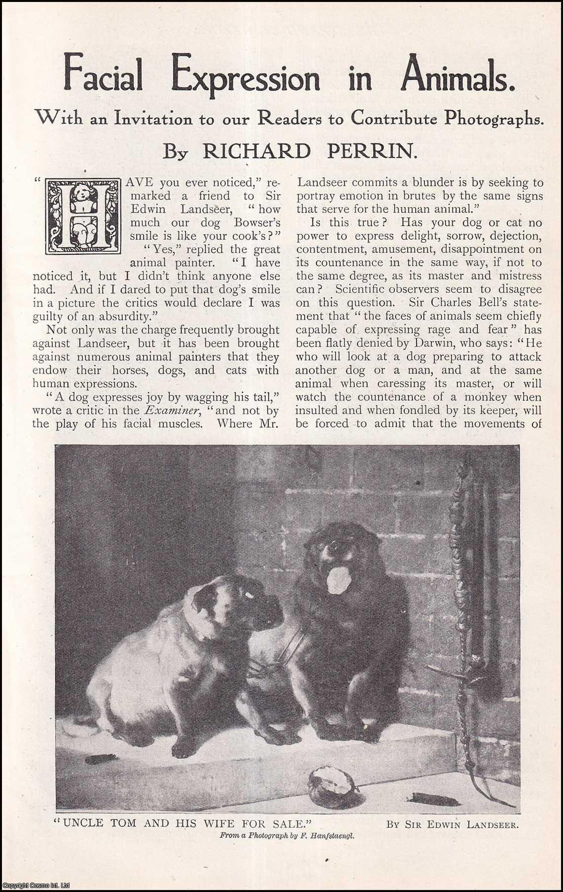 Richard Perrin - Facial Expression in Animals. An uncommon original article from The Strand Magazine, 1910.