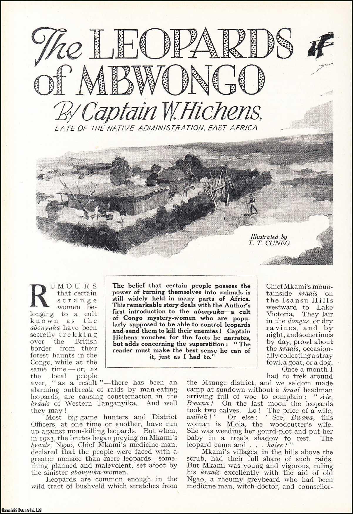 Captain W. Hichens, Late of the Native Administration, East Africa. Illustrated by T.T. Cuneo. - The Leopards of Mbwongo. An uncommon original article from the Wide World Magazine, 1938.