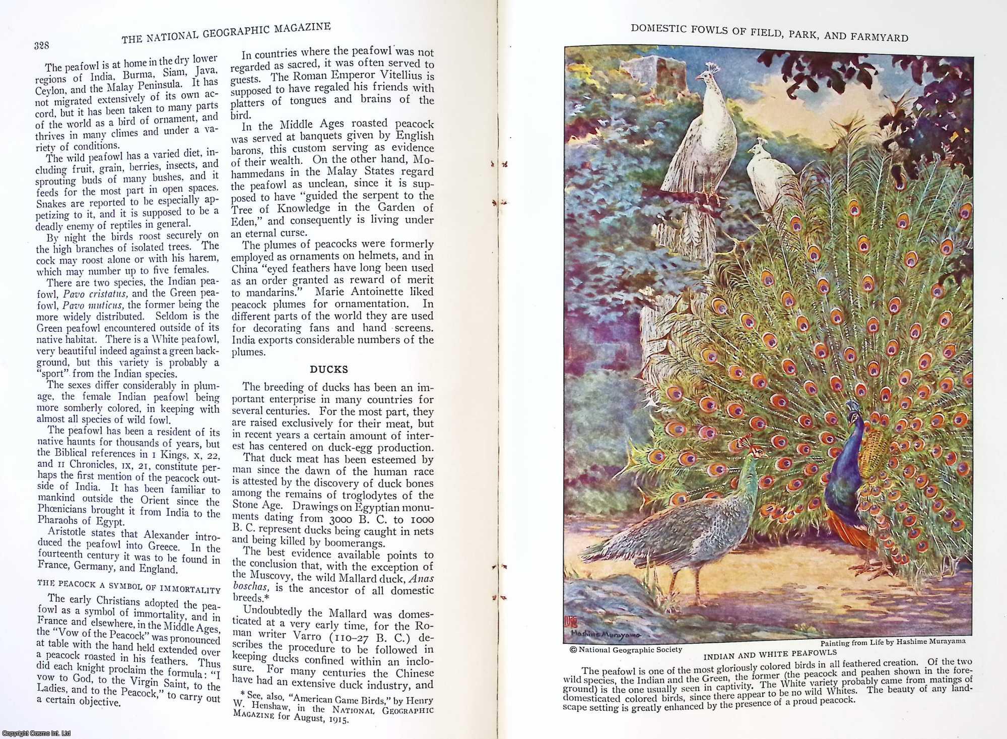 JULL, MORLEY A. - Fowls of Forest and Stream Tamed by Man. An original article from the National Geographic Magazine, 1930.