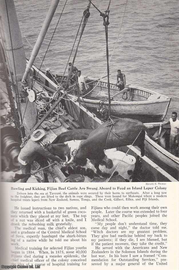 MARJORY C., THOMAS - Copra-ship Voyage to Fiji's Outlying Islands. An original article from the National Geographic Magazine, 1950.