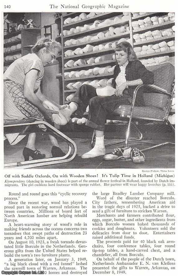 Andrew H. Brown - Versatile Wood Waits On Man. An original article from the National Geographic Magazine, 1951.
