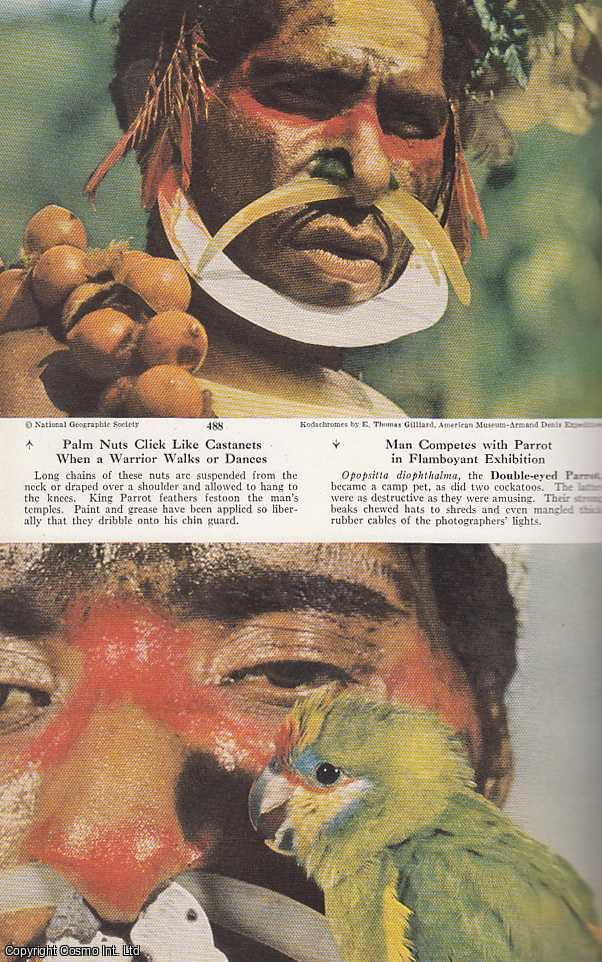 E. Thomas Gilliard - New Guinea's Rare Birds and Stone Age Men: Filming Exotic Birds of Paradise and Living with Primitive Tribes, an Ornithologist Scores Important New Firsts. An original article from the National Geographic Magazine, 1953.