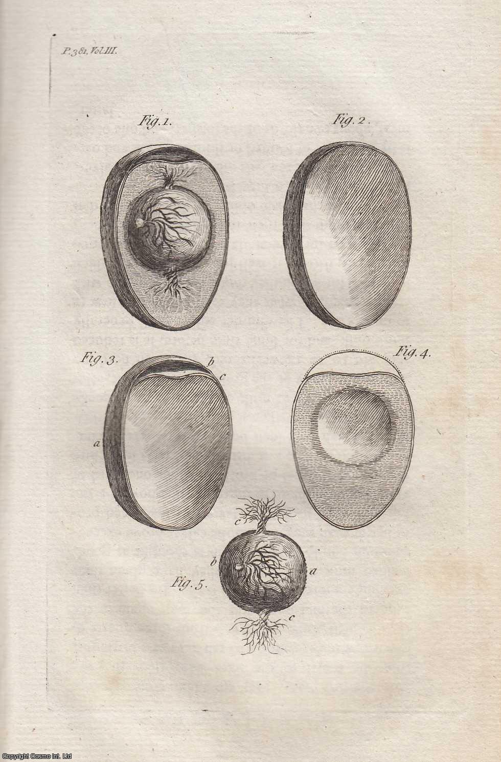 HUNTER, ALEXANDER - Reflections on the State of an Egg in Incubation. A rare original article from the Annals of Agriculture, 1785.
