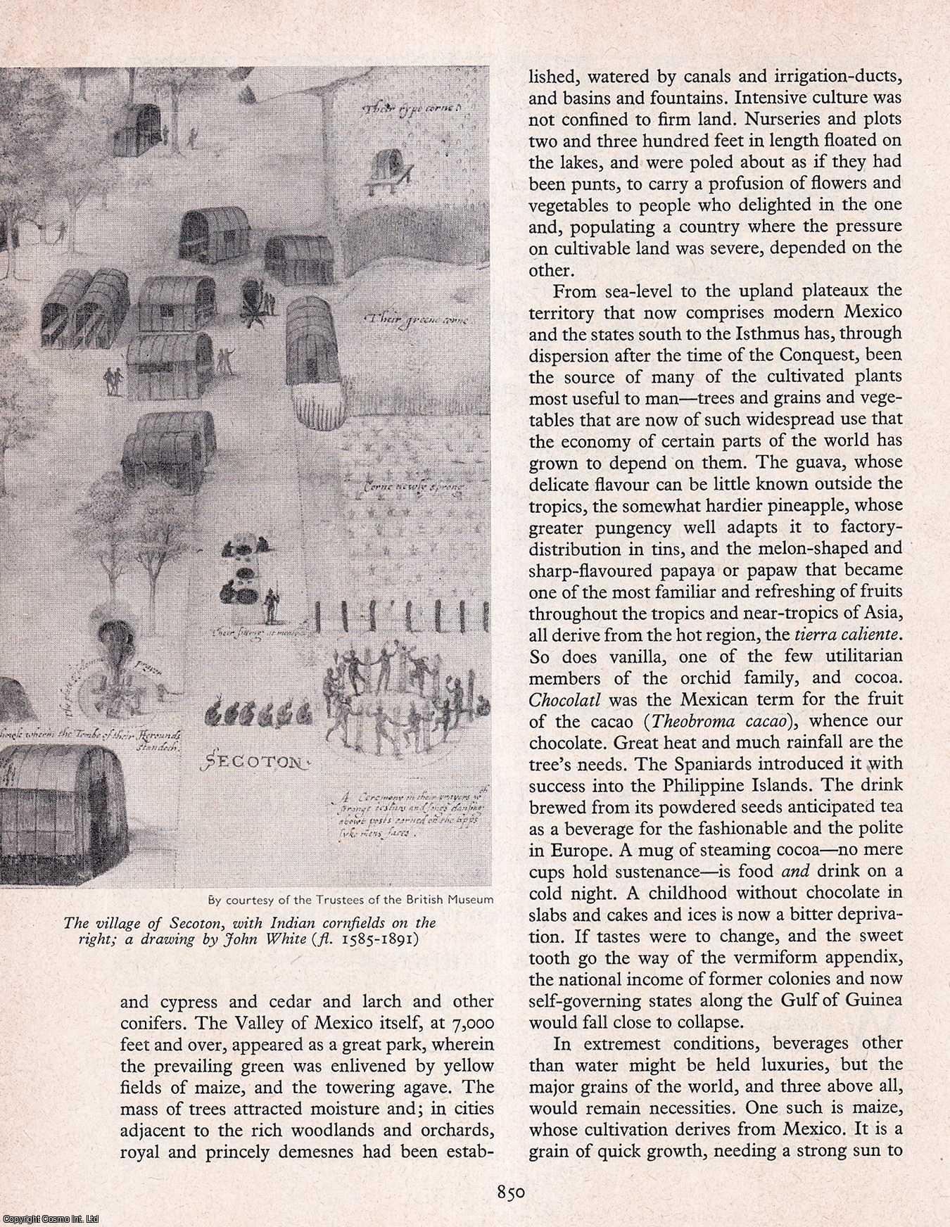 GARDENER, WILLIAM - Botany and The Americans. An original article from History Today magazine, 1966.