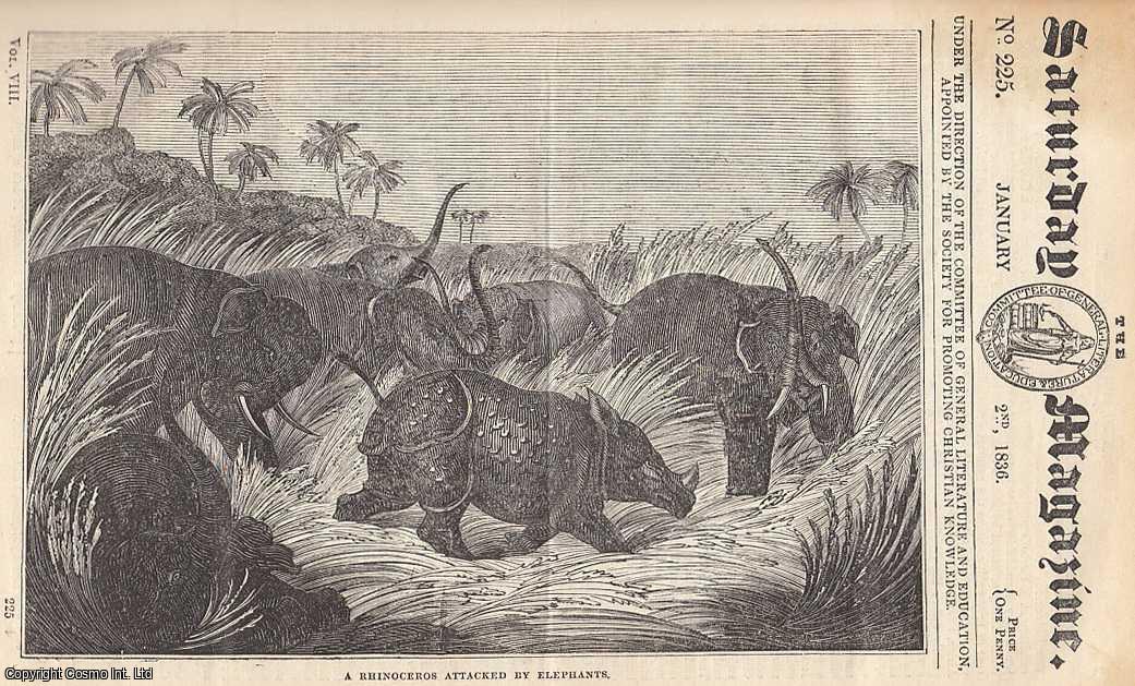 Saturday Magazine - Nature, Uses, & Manufacture of Charcoal ; Australian Grammar ; The Seven-Eared Wheat ; A Rhinoceros Attacked by Elephants, etc. Issue No. 225. January, 1836. A complete original weekly issue of the Saturday Magazine, 1836.