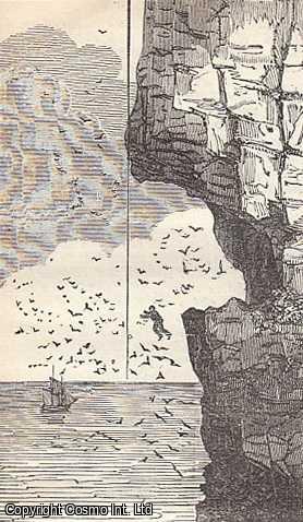 ---. - The Greek Islands, The Market-Placem and Celebrated Plane-Treem at Cos; Wild-Bird Catching; East India Stations; The Young Chemist, etc. Issue No. 245. April, 1836. A complete rare weekly issue of the Saturday Magazine, 1836.