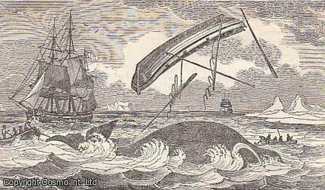 Saturday Magazine - The Natural History of the Bee, part 2 ; Journal of the Voyage of a Whale Ship, concluded ; The Blessed, in Moscow ; The Economy and Harmony of Nature Russia : The Church of Basil, etc. Issue No. 248. May, 1836. A complete original weekly issue of the Saturday Magazine, 1836.