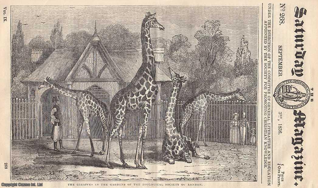 Saturday Magazine - The Giraffe, or Camelopard; Newspaper Literature, no 4; Atheism; The Sagacity of The Bear; Dunottar Castle. Issue No. 268. September, 1836. A complete original weekly issue of the Saturday Magazine, 1836.