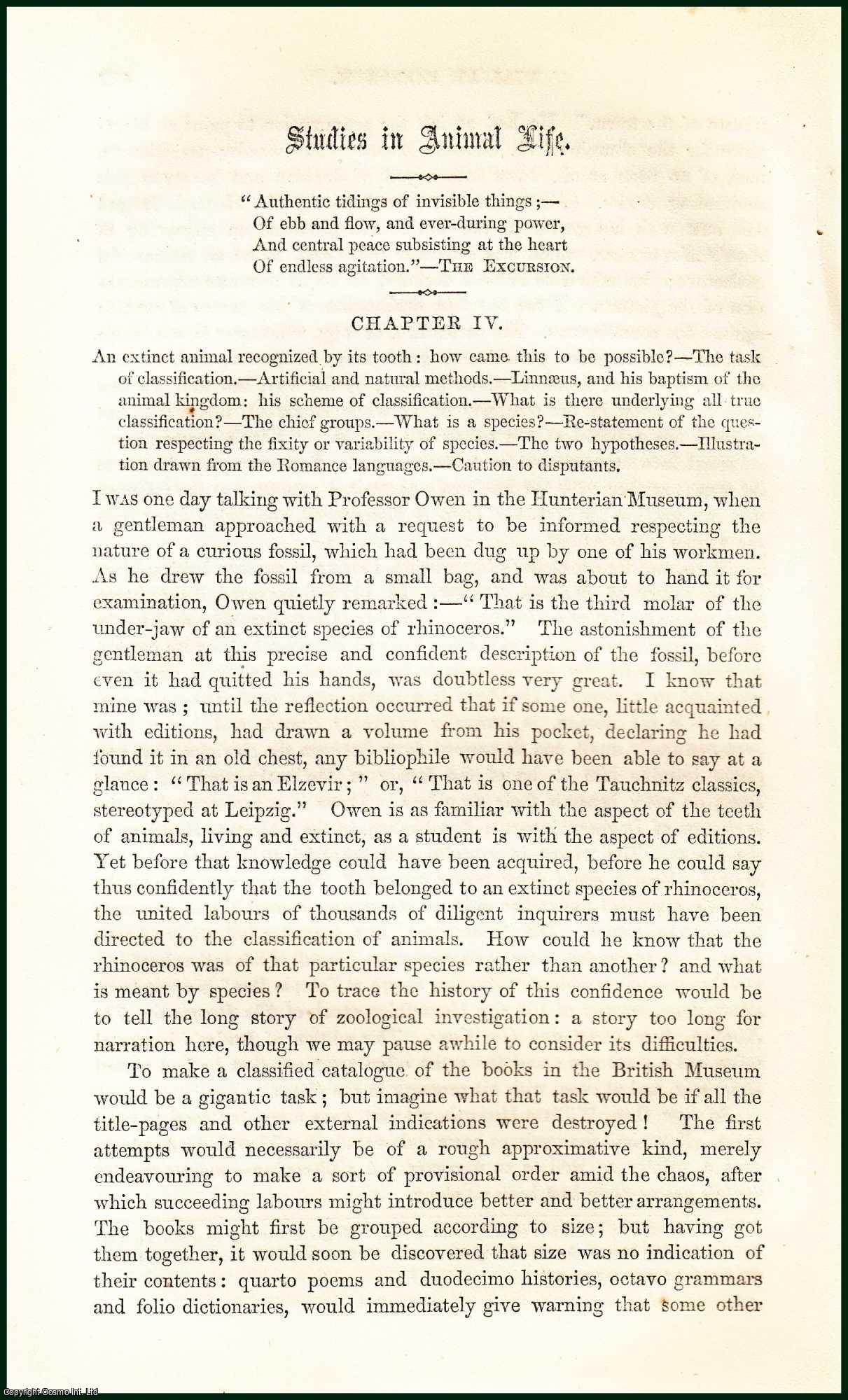 LEWES, G. H. - Studies in Animal Life (Chap. IV). A rare article from the Cornhill Magazine, 1860.